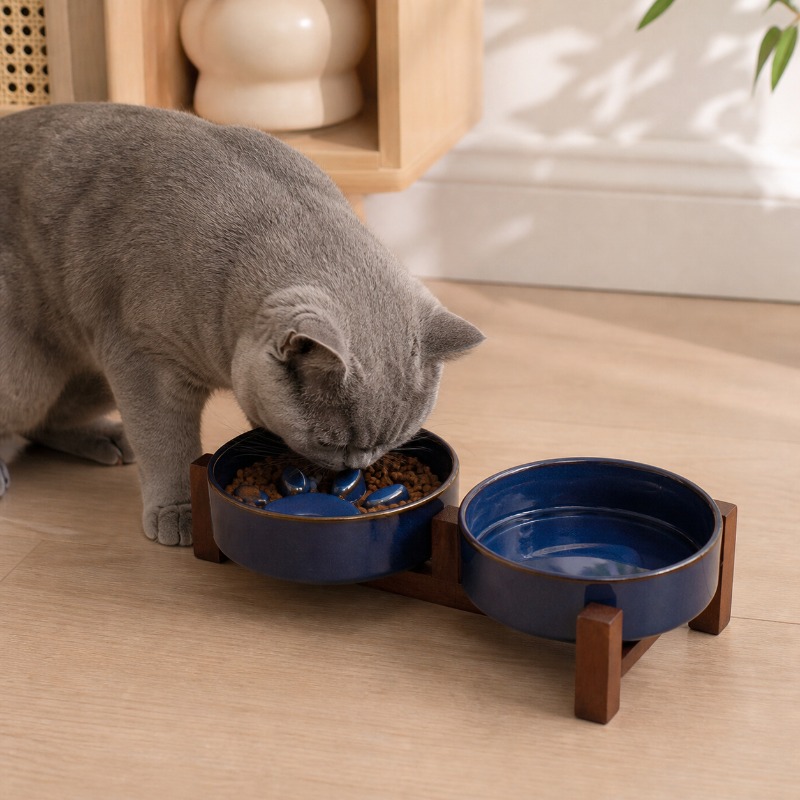 일본식 가마 도자기 고양이 식기 중형견 강아지 슬로우  - Royal Canin Food Medium 리뷰 및 가격