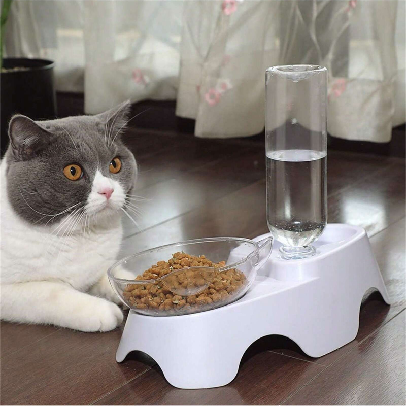 1PC 이중 강아지 고양이 밥그릇 세트, 소형 또는 중 - Royal Canin Food Medium 리뷰 및 가격